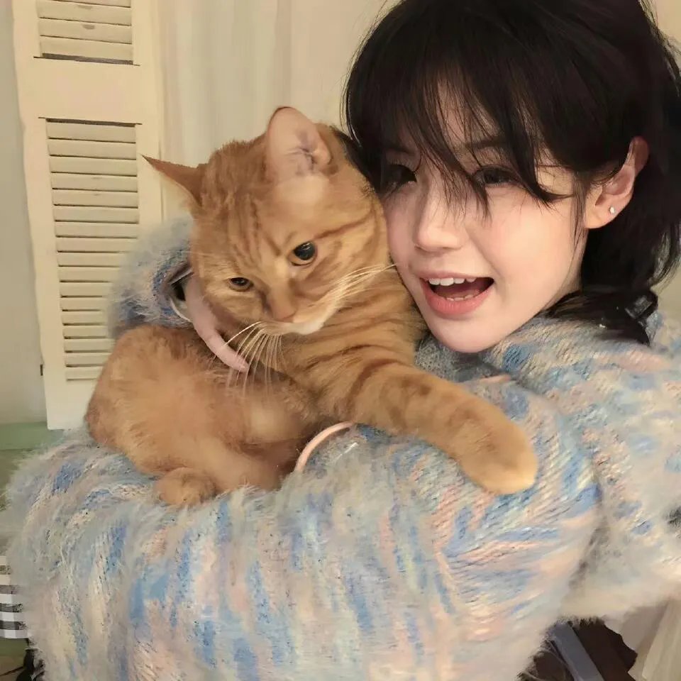 杏林血泪