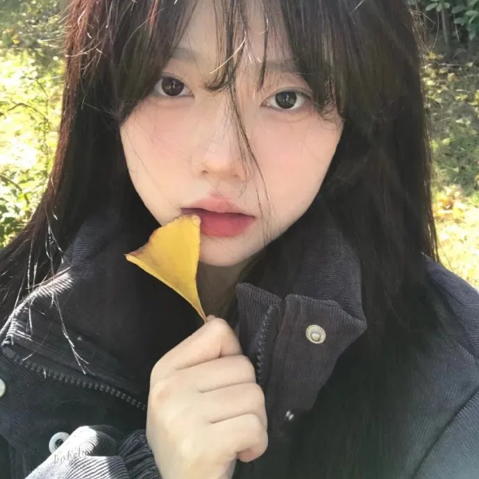 旅行护士第二季
